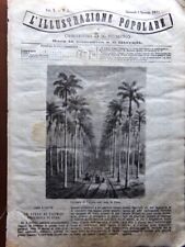 L'illustrazione Popolare 2 Novembre 1871 Isola Cuba Galleria del Frejus Armaiolo