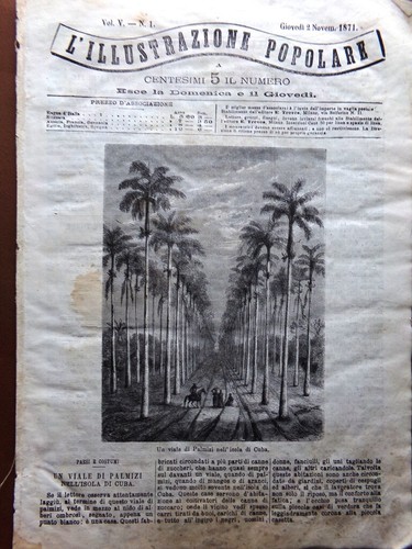 Illustrazione popolare 2 - popolare,