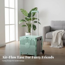 Passeggino con Trasportino