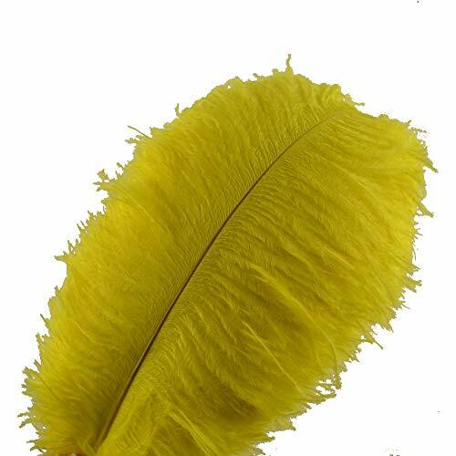Piume struzzo sowder 10 - struzzo,