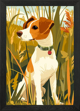 Jack Russell Terrier in erba