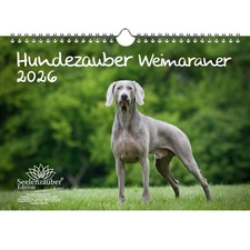 Magia per cani - weimaraner, din