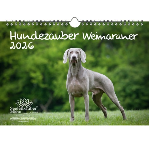 Magia per cani weimaraner din - weimaraner,
