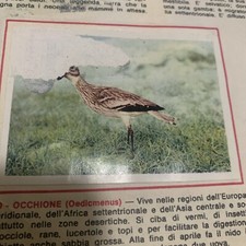 FIGURINA N. 240 ANIMALI ED