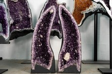 230 pair arched purple - pair,