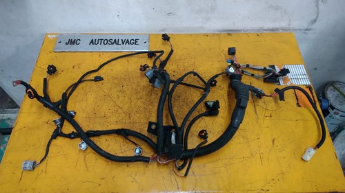 Cablaggio telaio motore mini - motore,