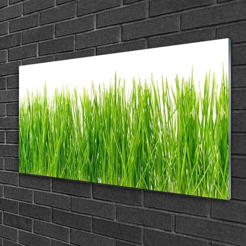 Quadri vetro 100x50 quadro - quadri,