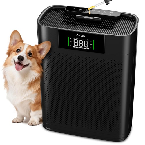 Purificatore aria con - purificatore,