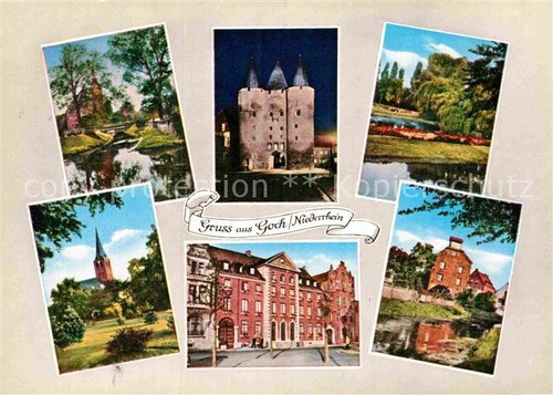 Goch niers stentor - goch,