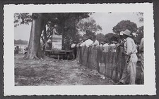 VINTAGE 1948 CANI DA CACCIA