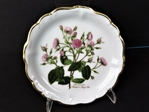 10759 piatto decorativo da - piatto, o