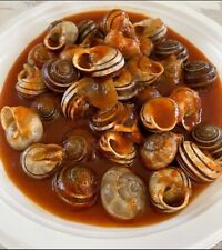 Lumache Rigatella gastronomia