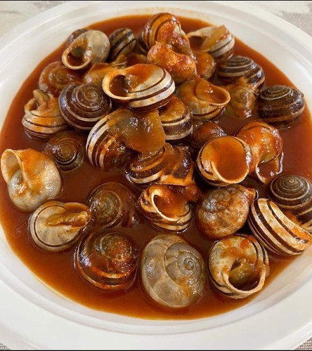 Lumache rigatella gastronomia - lumache,