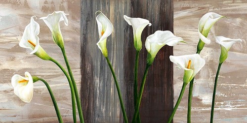 Quadro fiori country callas - fiori,