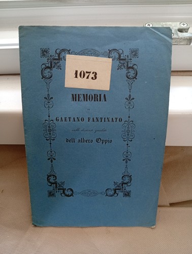 Memoria gaetano fantinato - memoria,