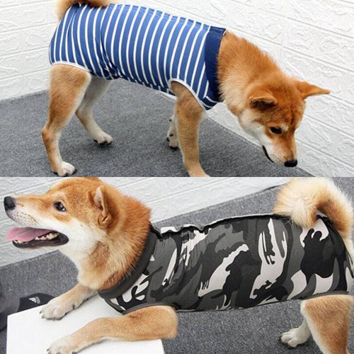 Tuta recupero vestiti cane