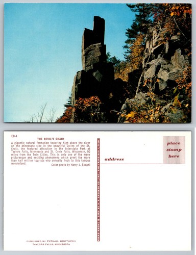 Cartolina cromata the - cartolina,