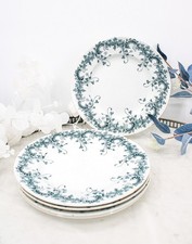 Série de 5 assiettes Terre de