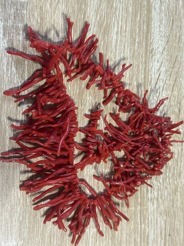 Collana corallo rosso a - collana,