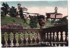 P03133 - CARTOLINA TRISOBBIO - PANORAMA CON CASTELLO - ZONA VINI PREGIATI - g/vg