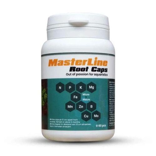 Masterline root caps 60pz - root, –