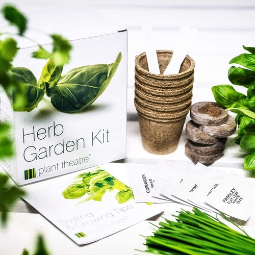 Kit semi giardino erbe teatro