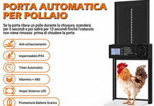Porta Automatica per Galline
