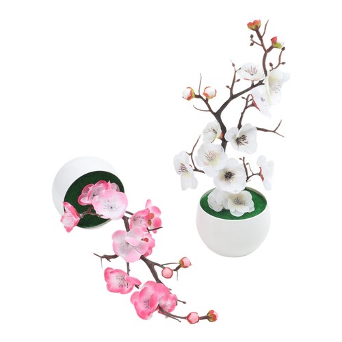 Confezione bonsai - confezione, 4