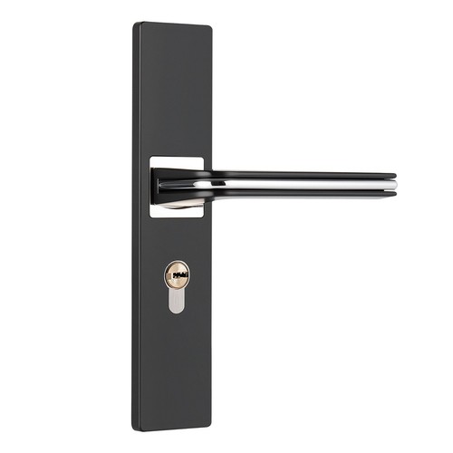 Serratura maniglia porta