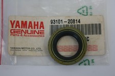 Paraolio 20 X 30 X 6 albero