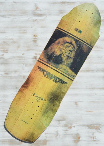 Gravity miura selah lion - 36",