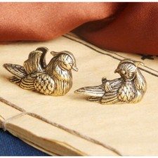 Coppia piccole anatre