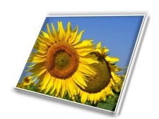 Nuovo schermo LCD LED 14,1"
