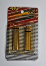 Pareja seguros puerta oro - puerta,