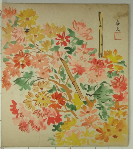 Is616 shikishi pianta fiore - is616,