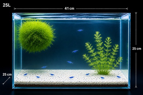 Acquario 25l con - acquario, 10