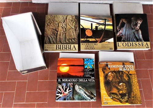 Box libri homo sapiens - box,