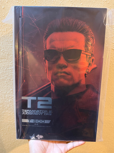 Hot toys mms795 terminator - hot,