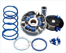 VARIATORE 6 RULLI POLINI PER MALAGUTI F 12 PHANTOM F100 F15 SCARABEO - 241670