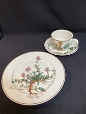 Villeroy boch botanica - villeroy,