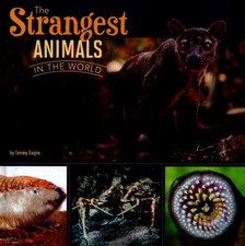 The Strangest Animals in the