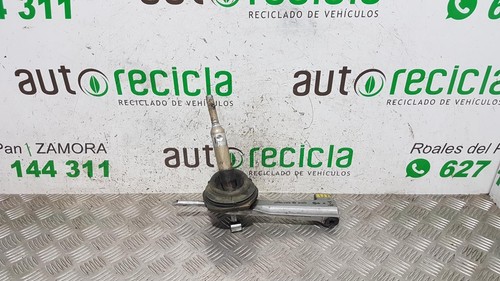 529 067 leva - 11, 7
