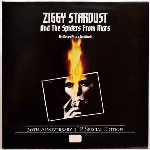 David bowie ziggy stardust - david,