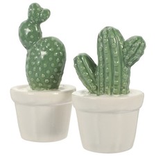  2 Pcs Cactus Finto