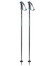 Bastoncini da sci Salomon ARCTIC Lady grigio/verde