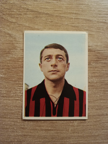 1966 imperia calciatori - 1966-67,