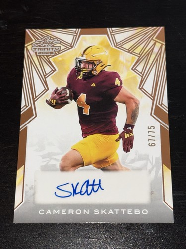 2025 leaf trinity cam skattebo - 2025,