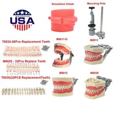 Kilgore NISSIN Typodont