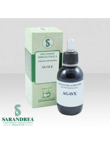 Agave