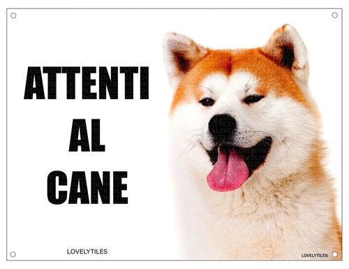 Akita inu attenti - attenti, mod